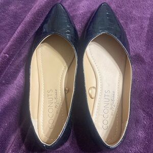 Coconuts by Mattise flats